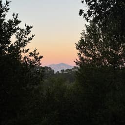 Photo taken with iPhone 17 on 2026-07-26.