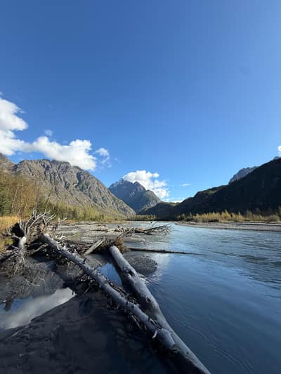 A river winds through a mountainous valley with snow-capped peaks under a blue sky with white clouds. Weathered driftwood logs lie scattered along the rocky shoreline in the foreground.