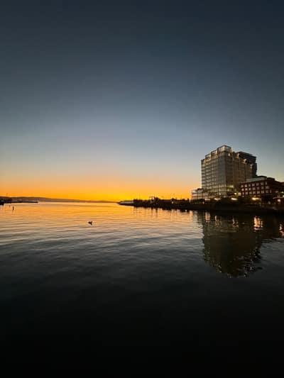 A modern waterfront building complex reflects in calm waters during sunset, with warm golden light illuminating the horizon and a small bird visible on the water's surface.