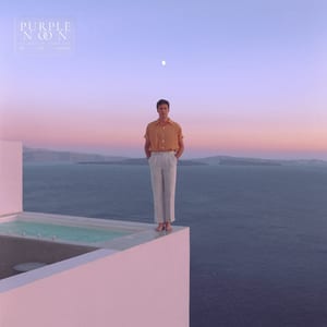 Washed Out Purple Noon album artwork used for the 2022 Wiltern show