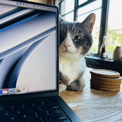 A gray and white tabby cat sits on a wooden desk next to an open laptop