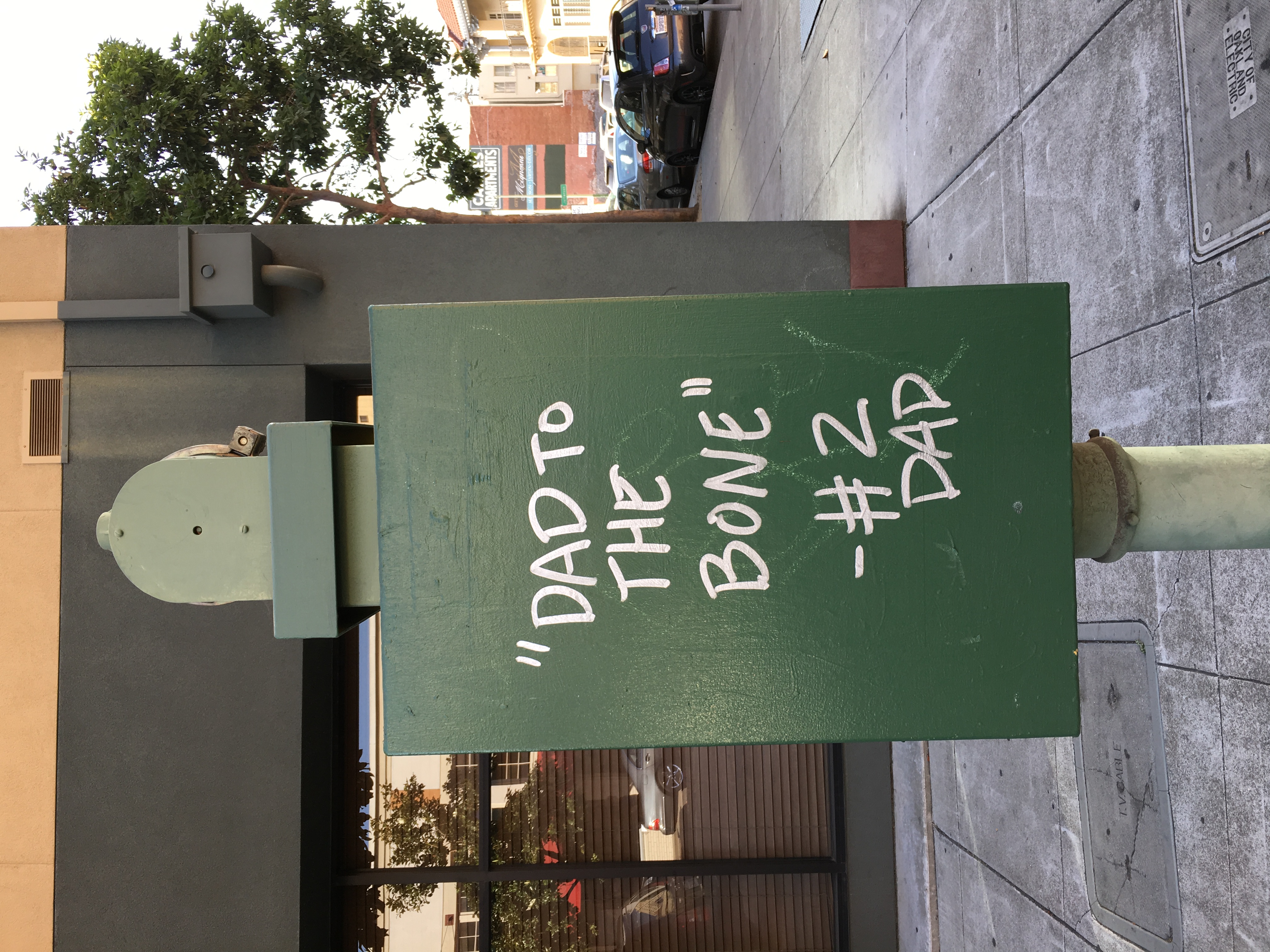A green street sign with white text reading "DAD TO THE BONE" and "#2 DAD"