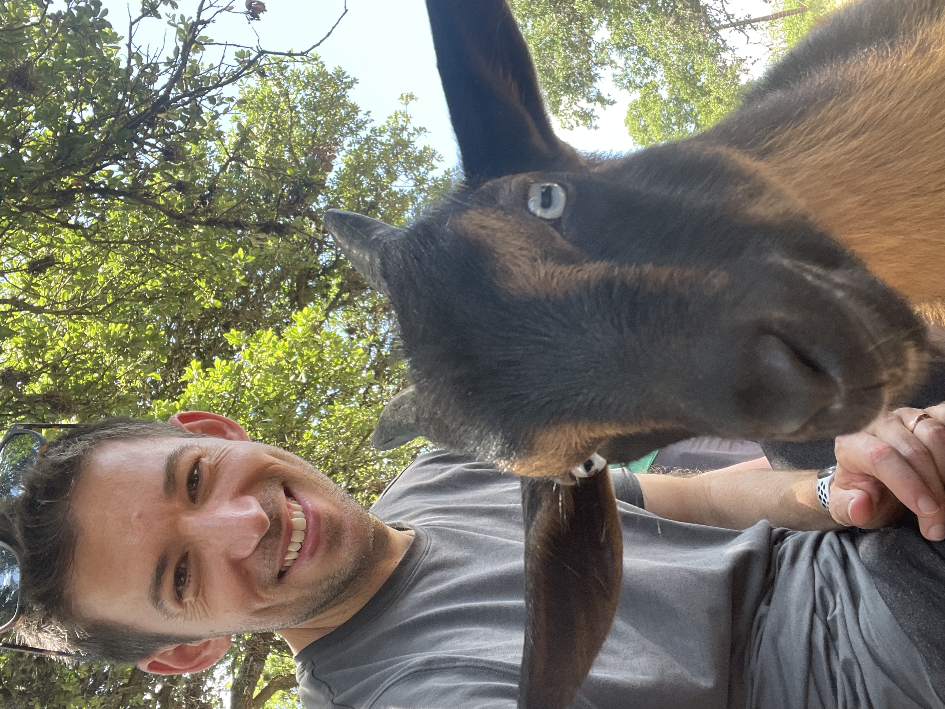 A smiling man in a gray t-shirt poses for a selfie with a brown and black