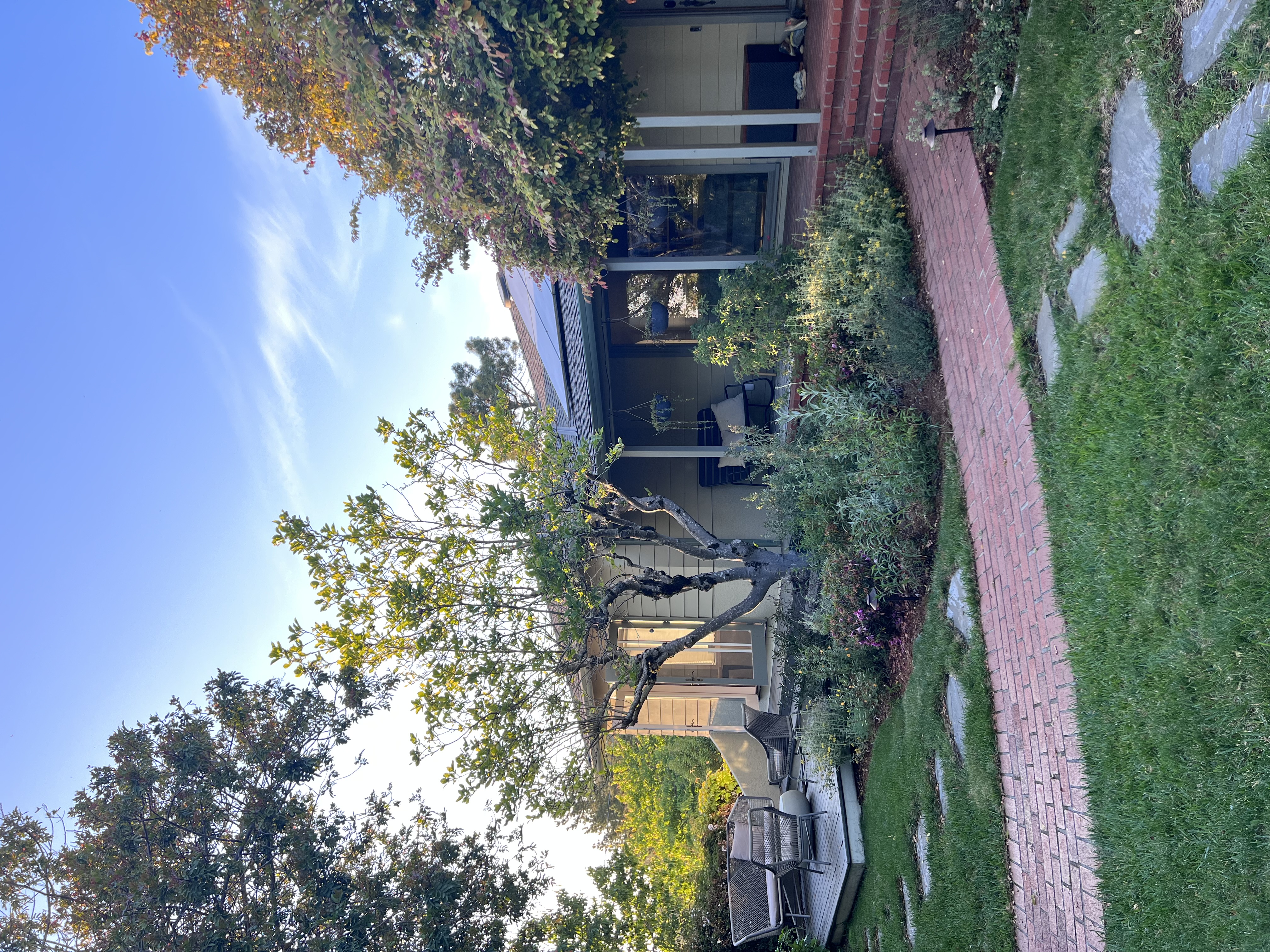 Photo from 2023-06-04