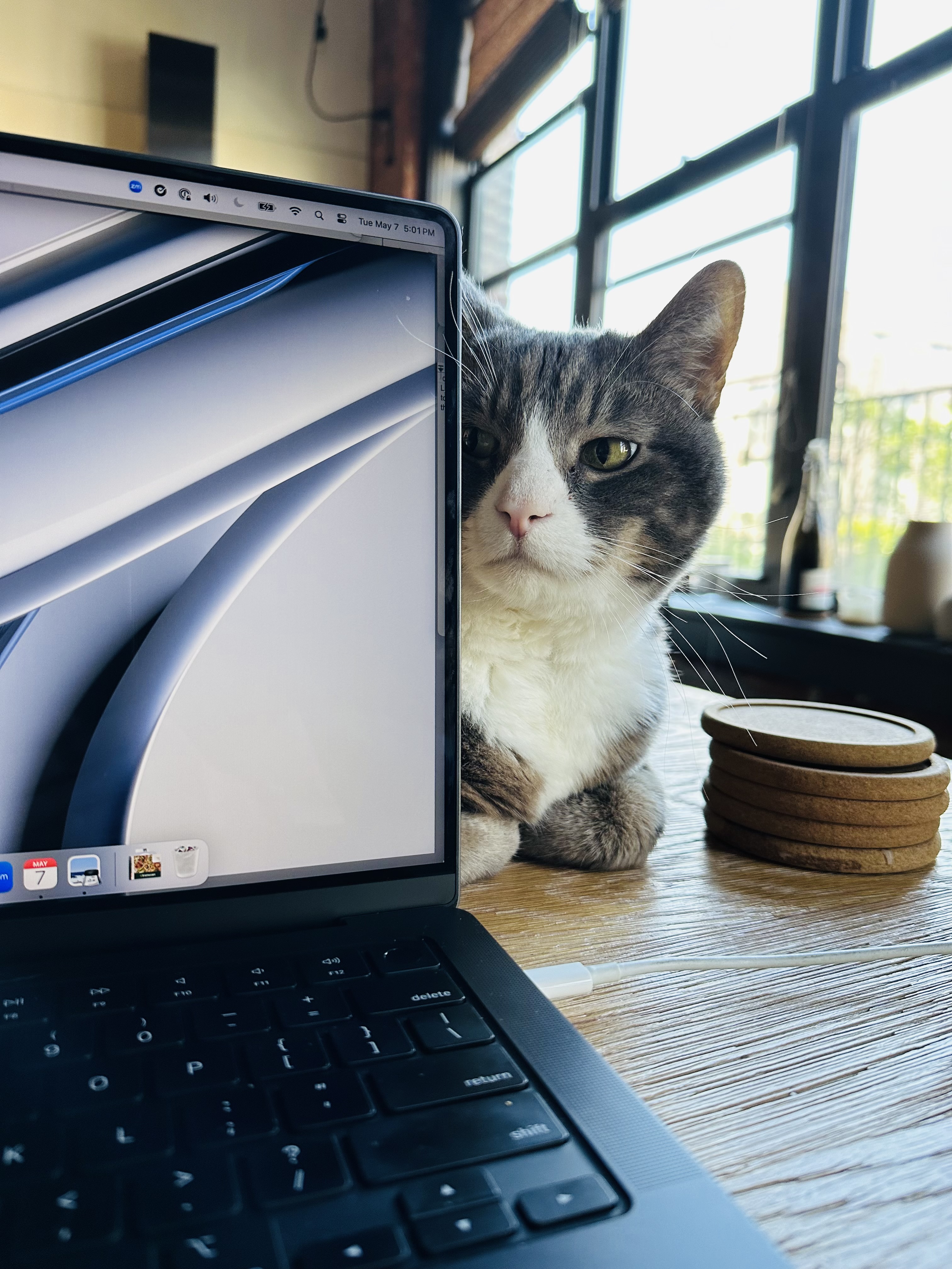A gray and white tabby cat sits on a wooden desk next to an open laptop