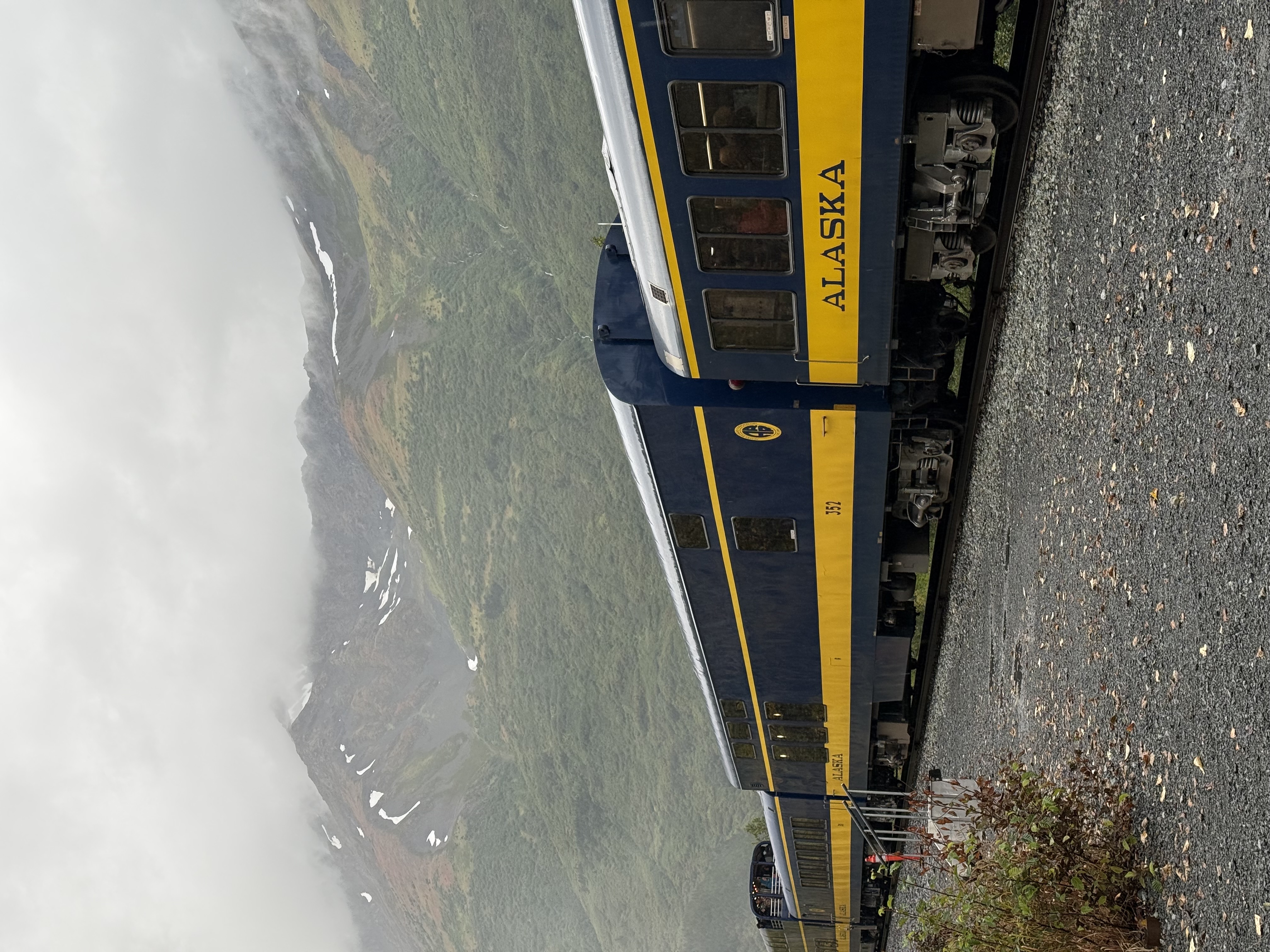 A blue and yellow Alaska Railroad passenger train travels through a misty