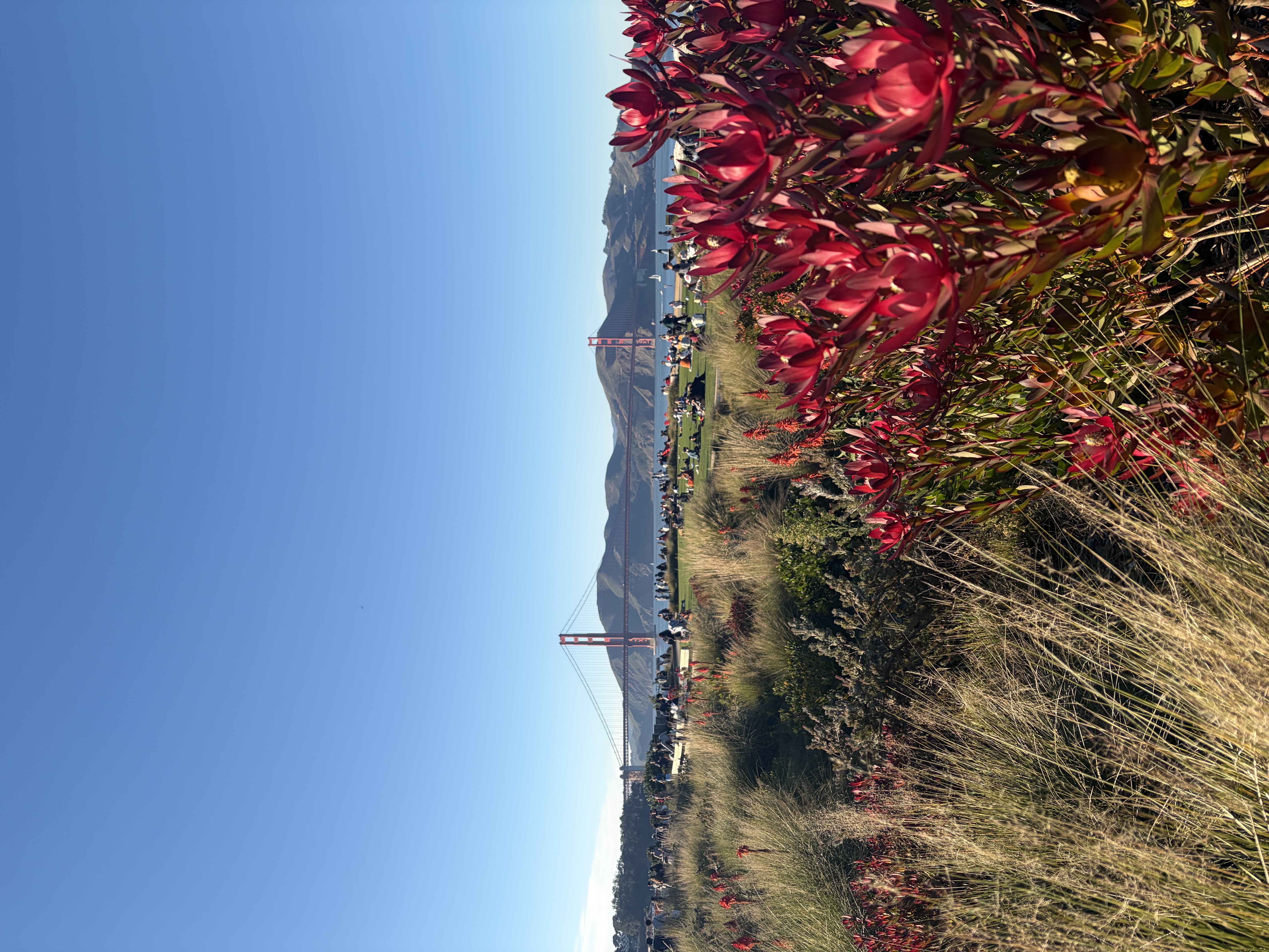 Photo from 2026-01-19